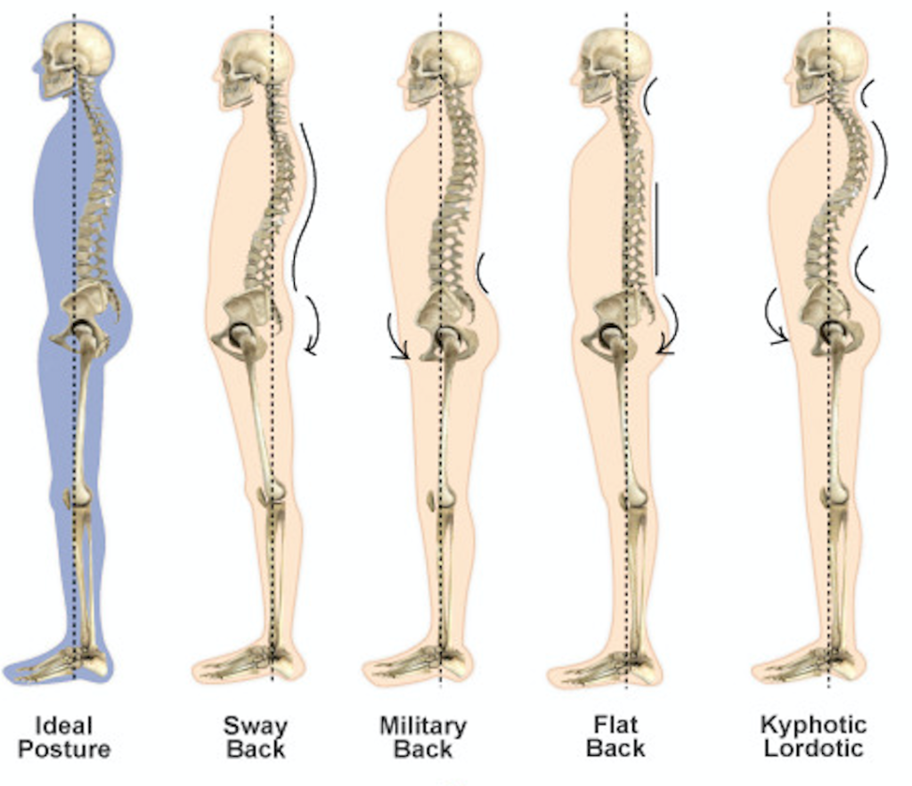 Acceuil - Home posture ideale